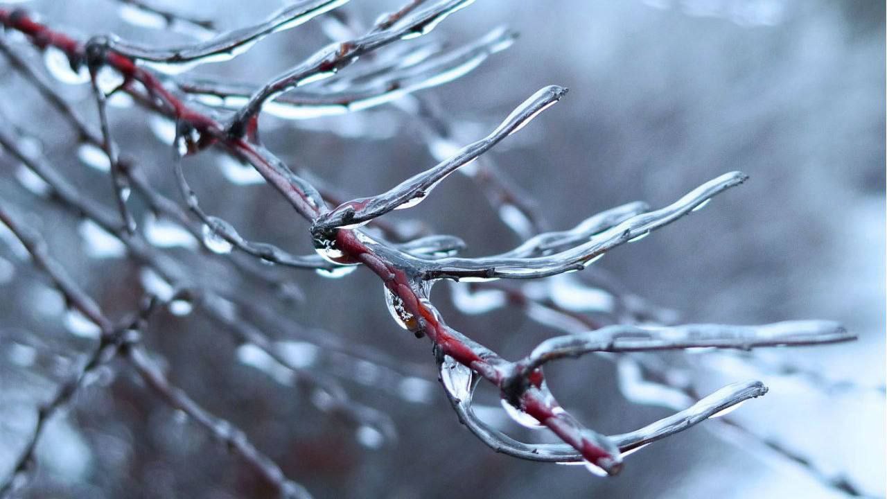 В Сергиево-Посадском округе ночью прогнозируют ледяной дождь