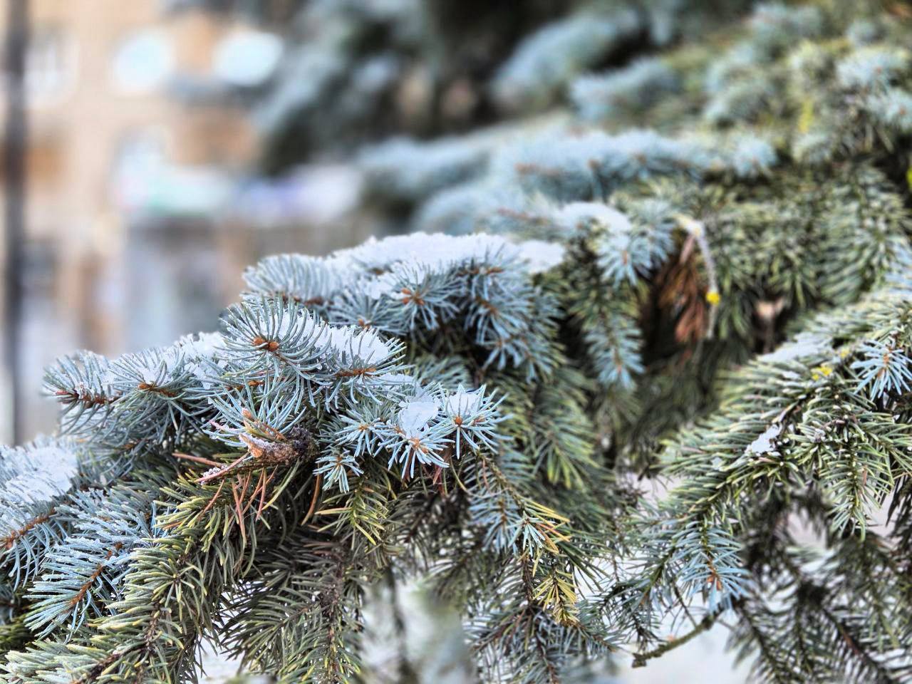 Доброе утро, Серпухов!. Сегодня до 1 градусов тепла