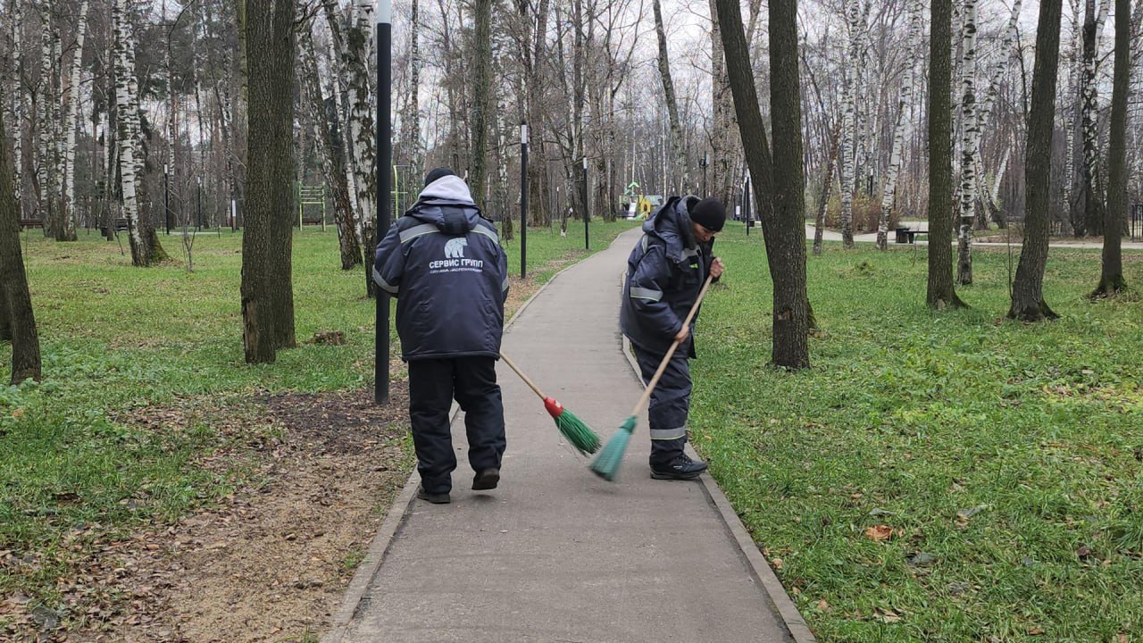 Парк «Малаховское озеро» подготовили к зимнему отдыху Парк «Малаховское озеро» подготовили к зимнему отдыху