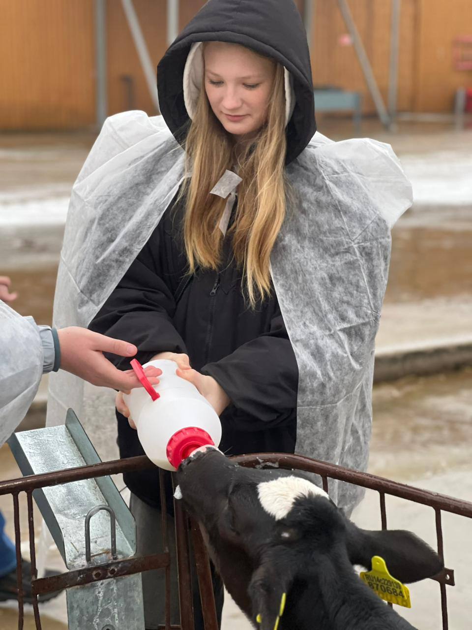 Экскурсию на молочную ферму организовали для учащихся агрогруппы гимназии г. Дзержинский Экскурсию на молочную ферму организовали для учащихся агрогруппы гимназии г. Дзержинский