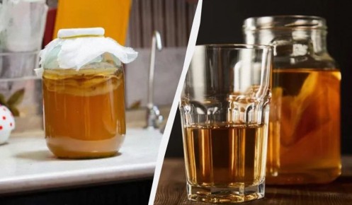 Волшебный мир чайного гриба: как его вырастить и какие преимущества он предлагает?