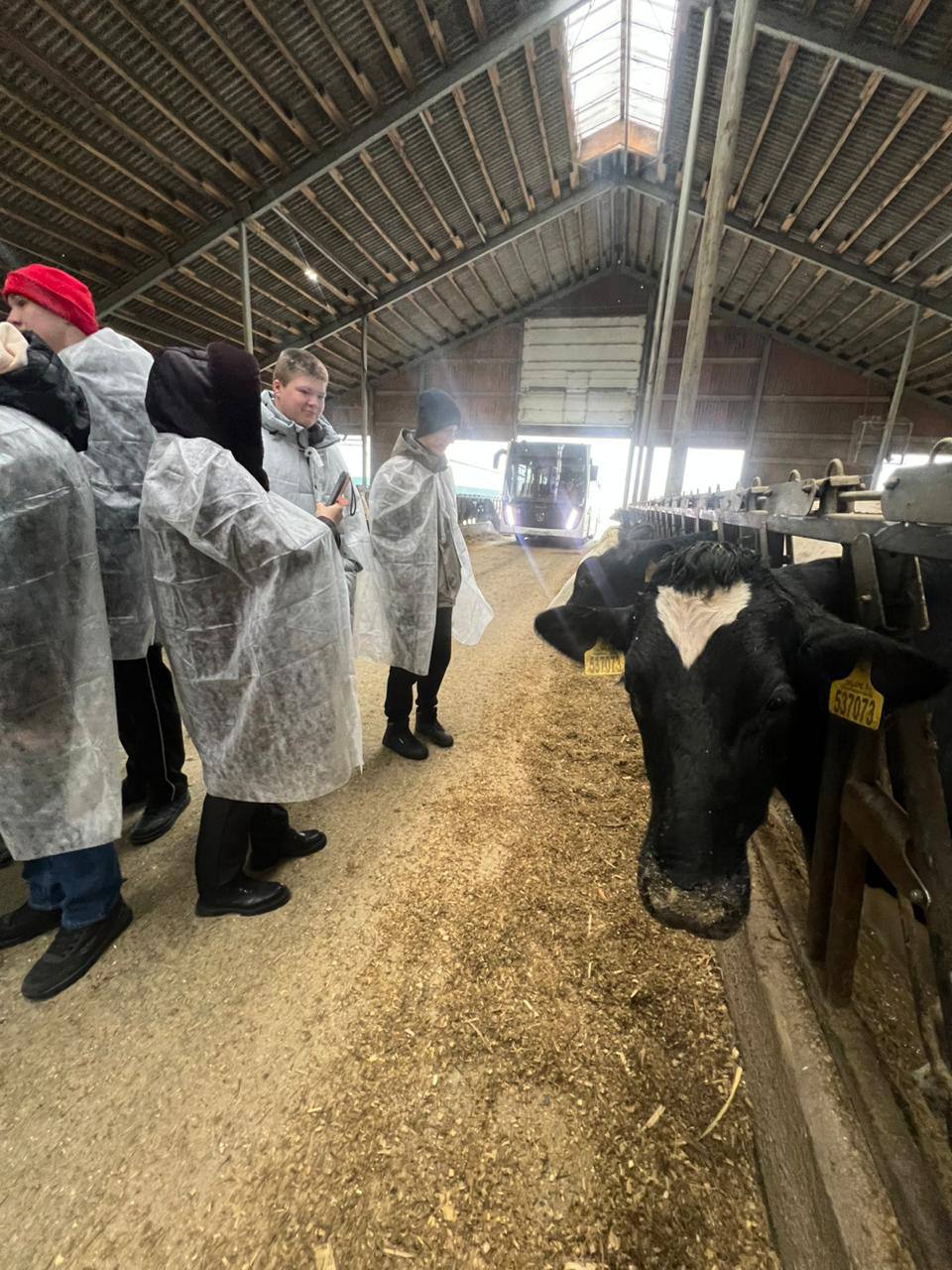 Экскурсию на молочную ферму организовали для учащихся агрогруппы гимназии г. Дзержинский Экскурсию на молочную ферму организовали для учащихся агрогруппы гимназии г. Дзержинский
