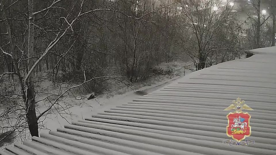 Кражу концертного оборудования на 3,5 млн рублей со склада в Химках раскрыла подмосковная полиция