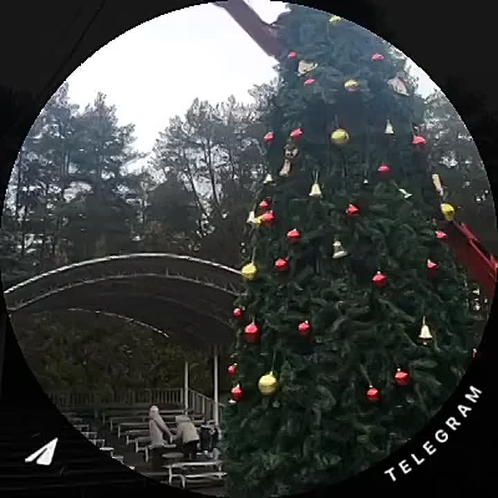 В парке «Ёлочки» полным ходом идет украшение Центральной площади