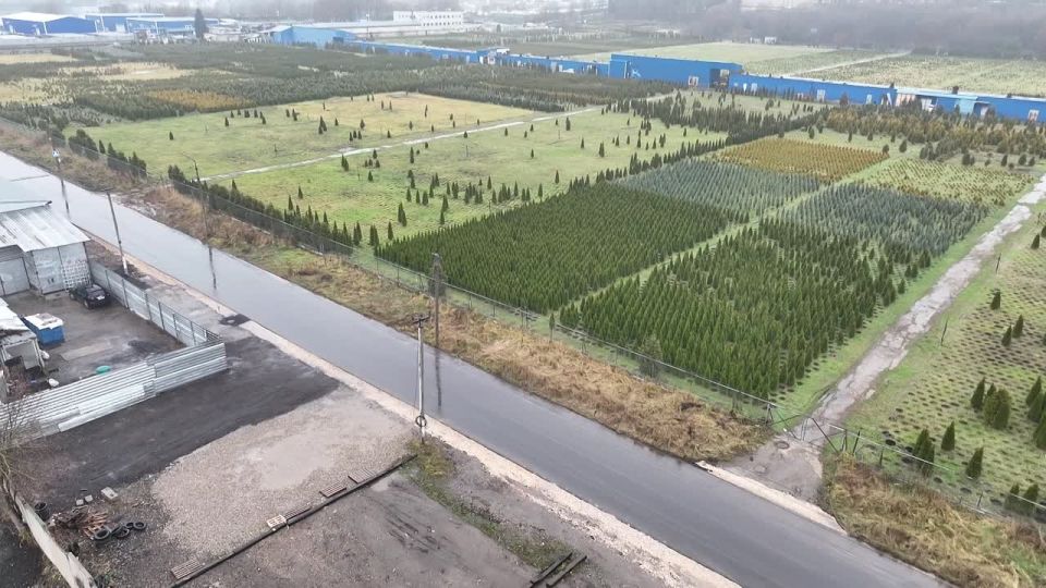 ��������� ����� �� ���� ��� ��������� ���������� �� ������������ �.�. ������� ������ ��������