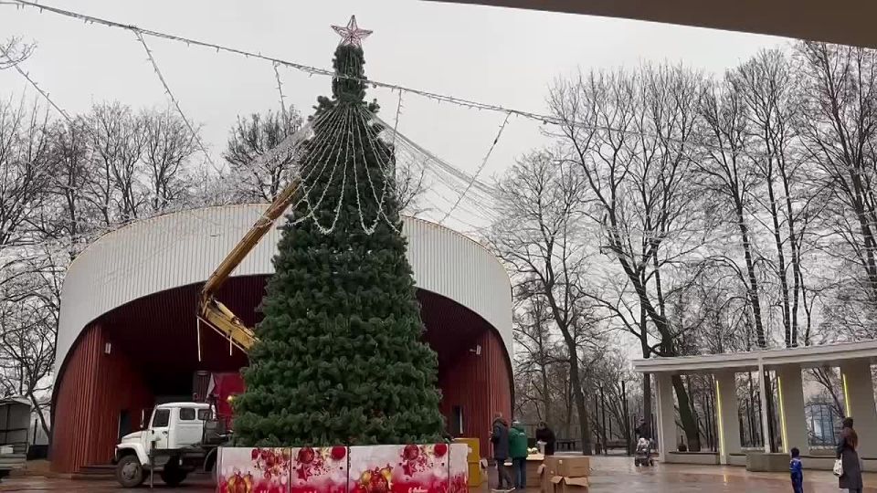 Григорий Артамонов: В парке Талалихина зажгли главную новогоднюю ель — 16-метровое дерево украсили в этом году по-особенному