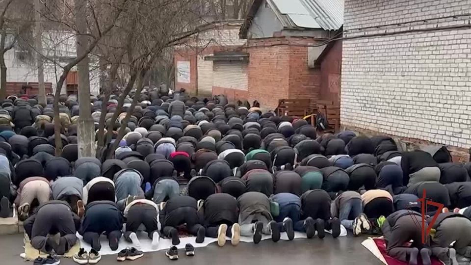 В Подмосковье при поддержке спецназа Росгвардии проверена деятельность религиозной организации