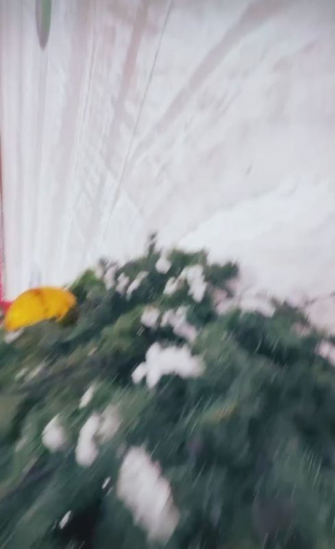 Татьяна Витушева: Зимний сезон не за горами! В Истре и Дедовскепродолжается работа по подготовке катков с искусственным охлаждением!