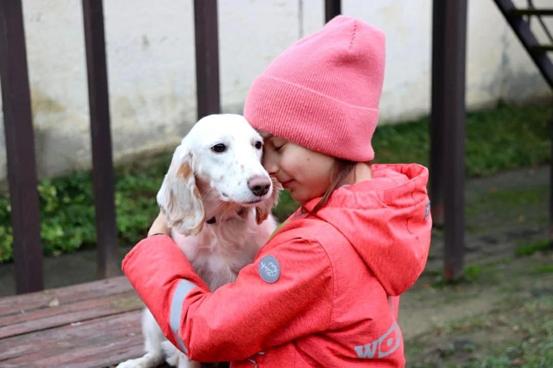 В Подмосковье полицейские-кинологи помогли школьнице подготовиться к научной конференции В Подмосковье полицейские-кинологи помогли школьнице подготовиться к научной конференции