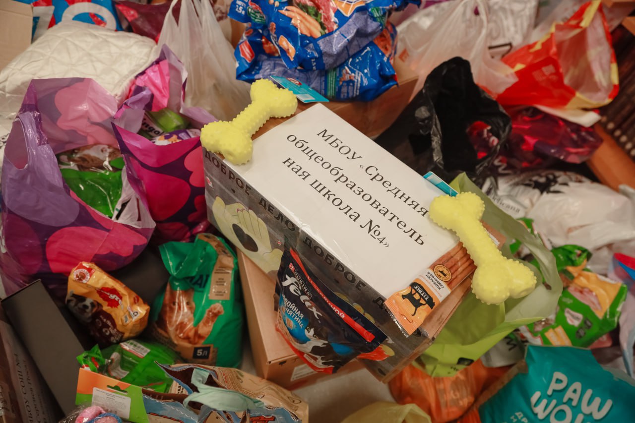 В библиотеке школы №4 прошёл урок доброты в рамках благотворительного марафона в помощь животным, организованный движением «Потеряшки» В библиотеке школы №4 прошёл урок доброты в рамках благотворительного марафона в помощь животным, организованный движением «Потеряшки»