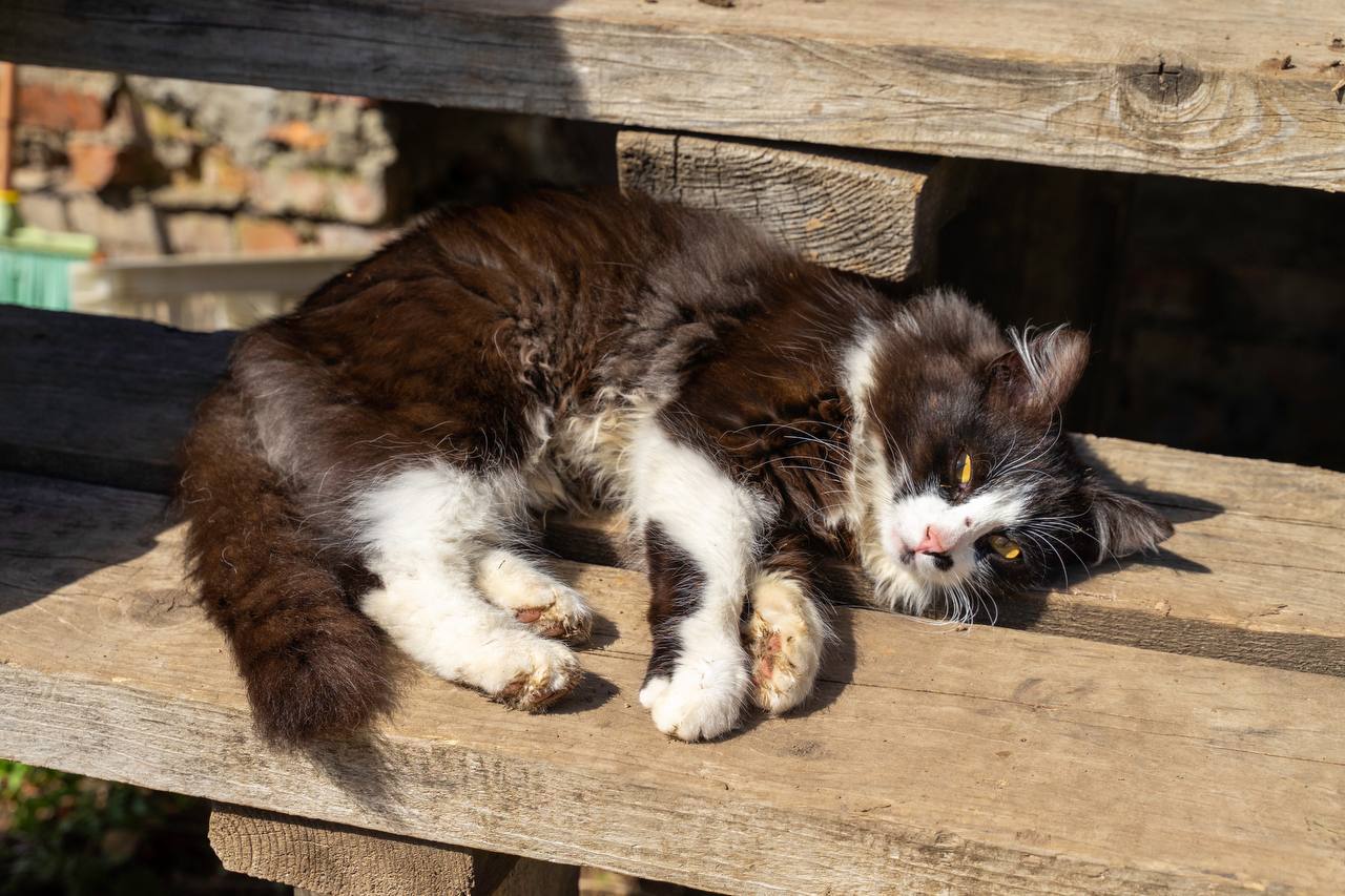 Подключили к газу дом нового абонента в Софрино, Пушкинский городской округ Подключили к газу дом нового абонента в Софрино, Пушкинский городской округ