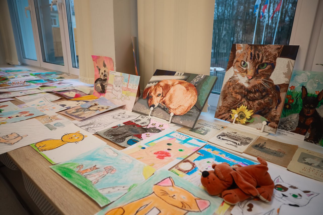 В библиотеке школы №4 прошёл урок доброты в рамках благотворительного марафона в помощь животным, организованный движением «Потеряшки» В библиотеке школы №4 прошёл урок доброты в рамках благотворительного марафона в помощь животным, организованный движением «Потеряшки»