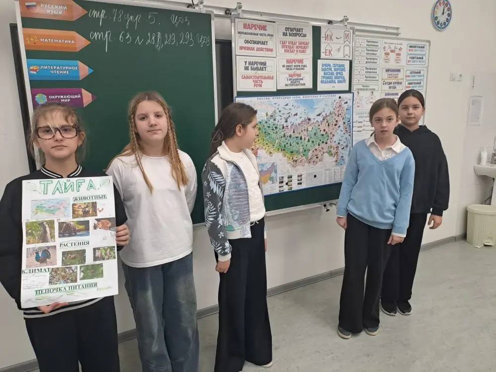 Творческий зачет по теме "Природные зоны России"! Творческий зачет по теме "Природные зоны России"!