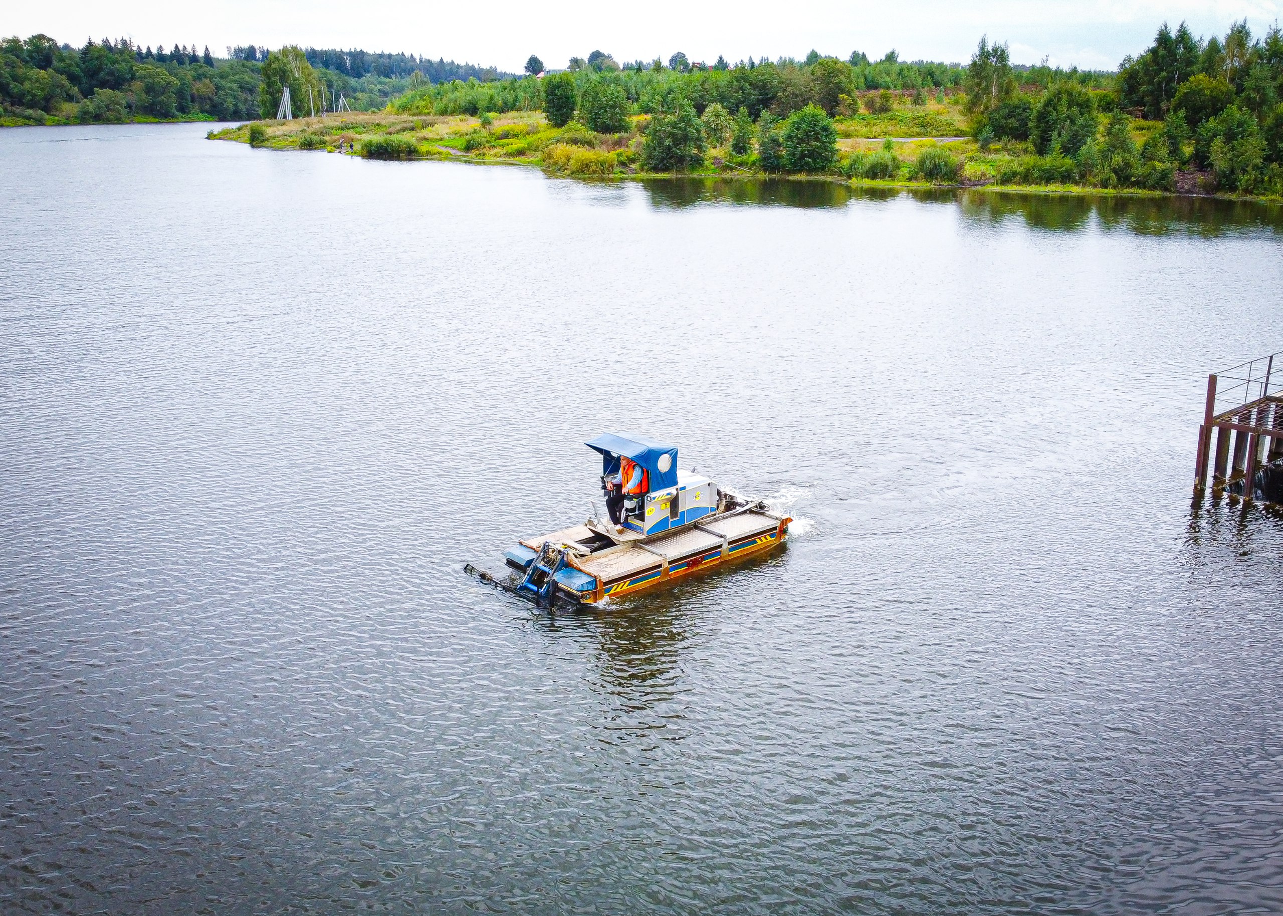 Более 31 тыс. человек проголосовали за очистку прудов в Подмосковье в следующем году