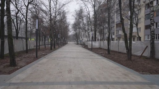 Заместитель главы округа Пушкинский Максим Прибытков проконтролировал ход работ по благоустройству бульвара в микрорайоне Дзержинец