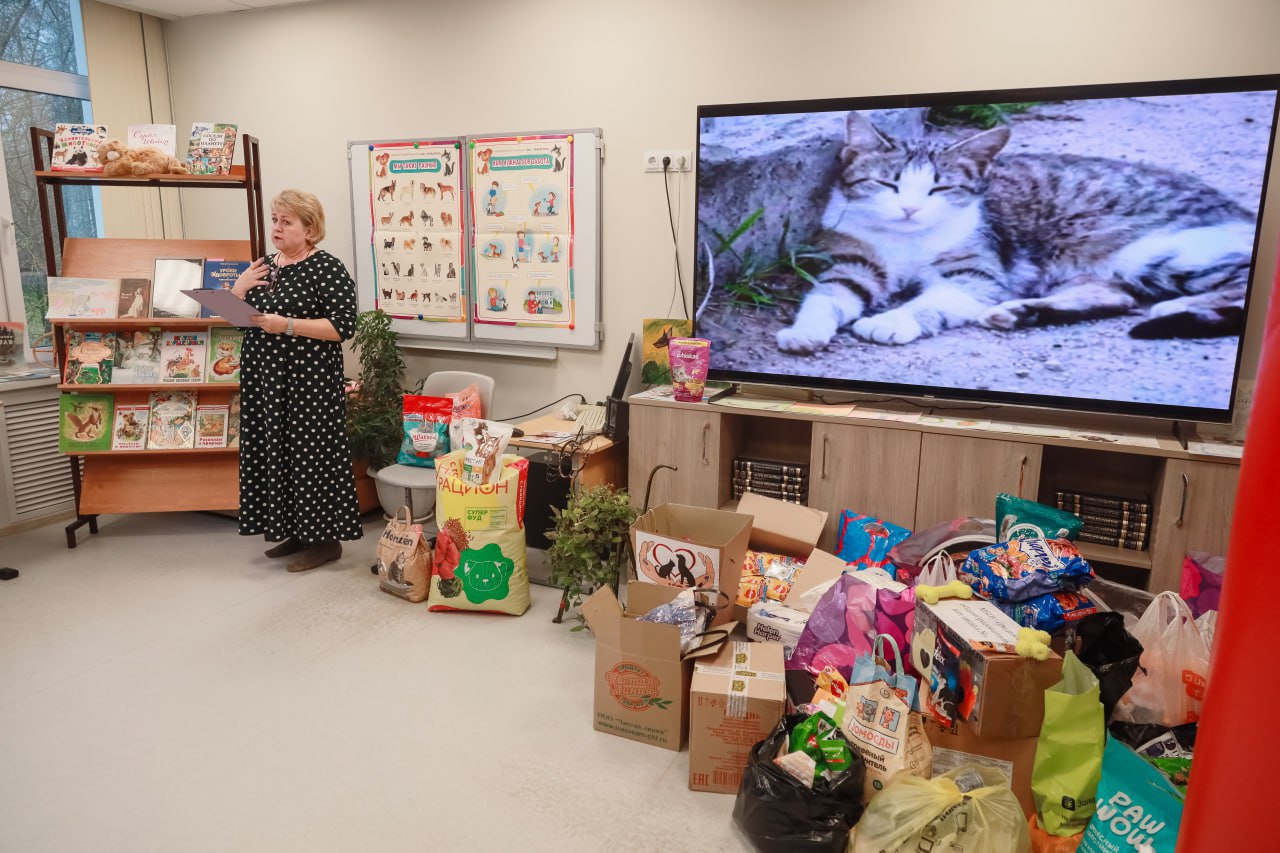 В библиотеке школы №4 прошёл урок доброты в рамках благотворительного марафона в помощь животным, организованный движением «Потеряшки» В библиотеке школы №4 прошёл урок доброты в рамках благотворительного марафона в помощь животным, организованный движением «Потеряшки»