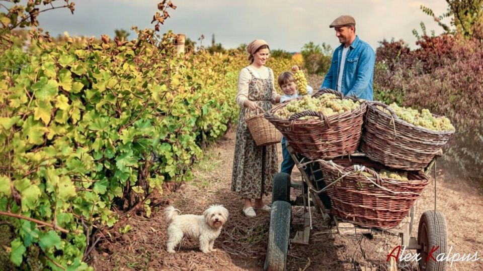 Грузинская кухня: сокровища древних традиций и гастрономического наследия