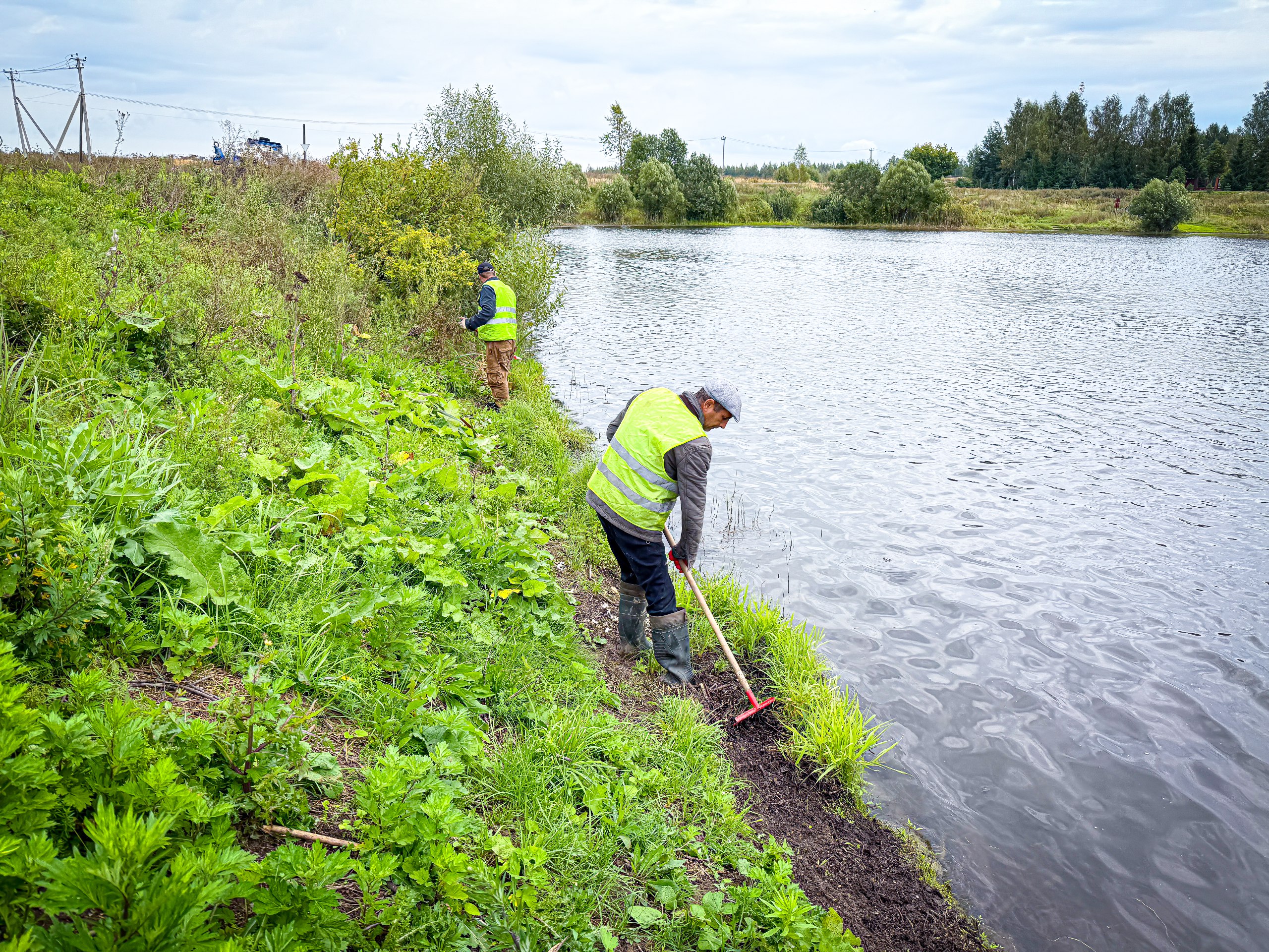 Более 31 тыс. человек проголосовали за очистку прудов в Подмосковье в следующем году Более 31 тыс. человек проголосовали за очистку прудов в Подмосковье в следующем году