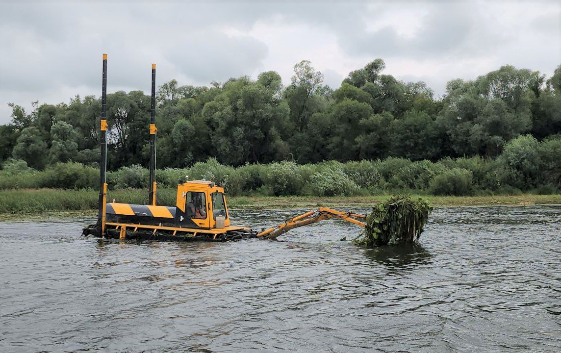 Более 31 тыс. человек проголосовали за очистку прудов в Подмосковье в следующем году Более 31 тыс. человек проголосовали за очистку прудов в Подмосковье в следующем году