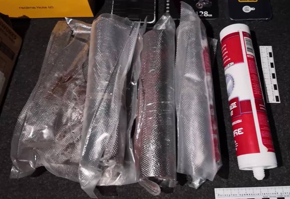 В Подмосковье предотвратили теракт на магистральном газопроводе