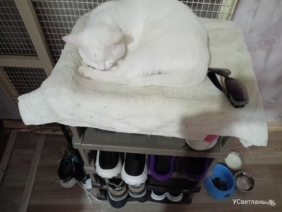 Уютные моменты в жизни: Кулинарные эксперименты и яркие покупки