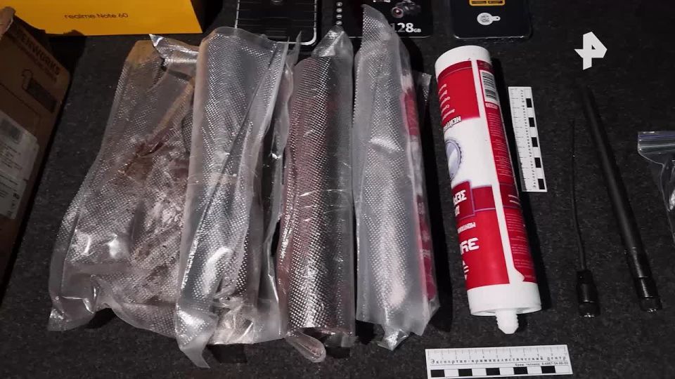 ФСБ предотвратила теракт на магистральном газопроводе в Серпуховском районе Подмосковья