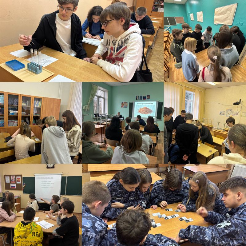 Сегодня, 29 ноября, в МБОУ лицее №4 прошёл увлекательный «научный квест»!