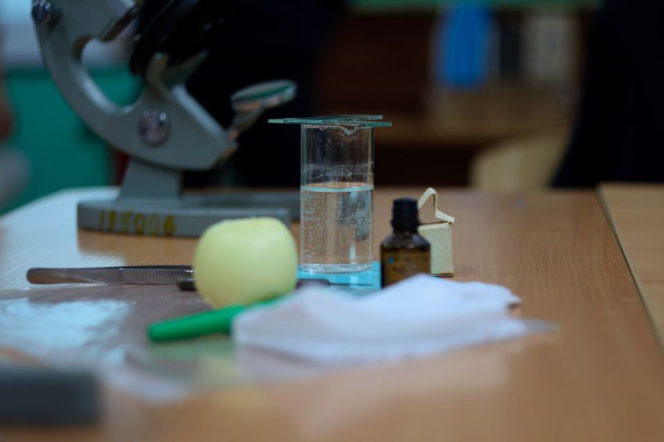 Станция 4: «В гостях у Роберта Гука»