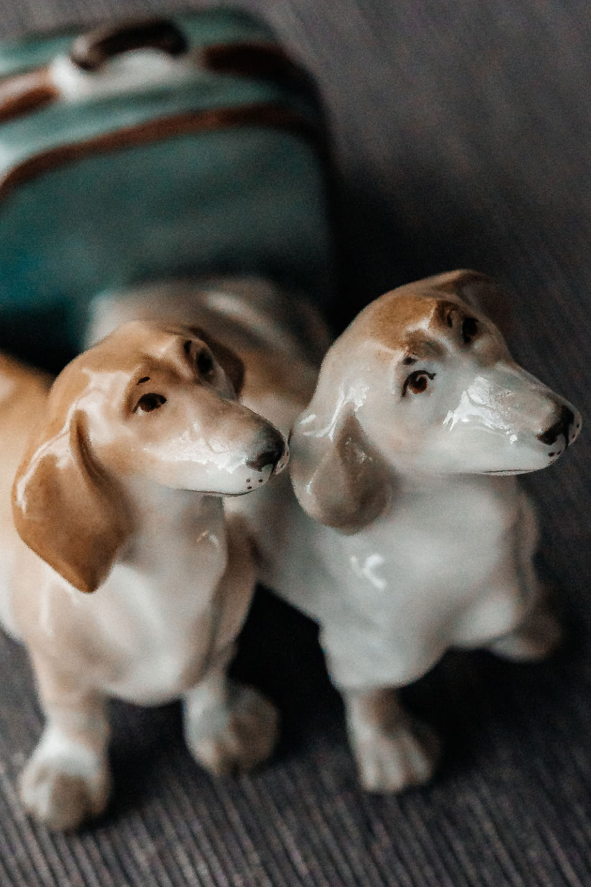 Бром Исаевич и Хина Марковна – таксы, жившие у писателя Антона Павловича Чехова в имении Мелихово Бром Исаевич и Хина Марковна – таксы, жившие у писателя Антона Павловича Чехова в имении Мелихово