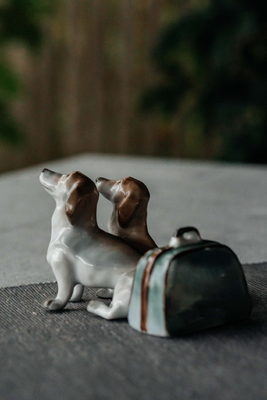 Бром Исаевич и Хина Марковна – таксы, жившие у писателя Антона Павловича Чехова в имении Мелихово Бром Исаевич и Хина Марковна – таксы, жившие у писателя Антона Павловича Чехова в имении Мелихово