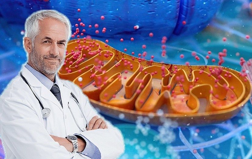 Как поддержать жизненную энергию после 50: секреты митохондрий