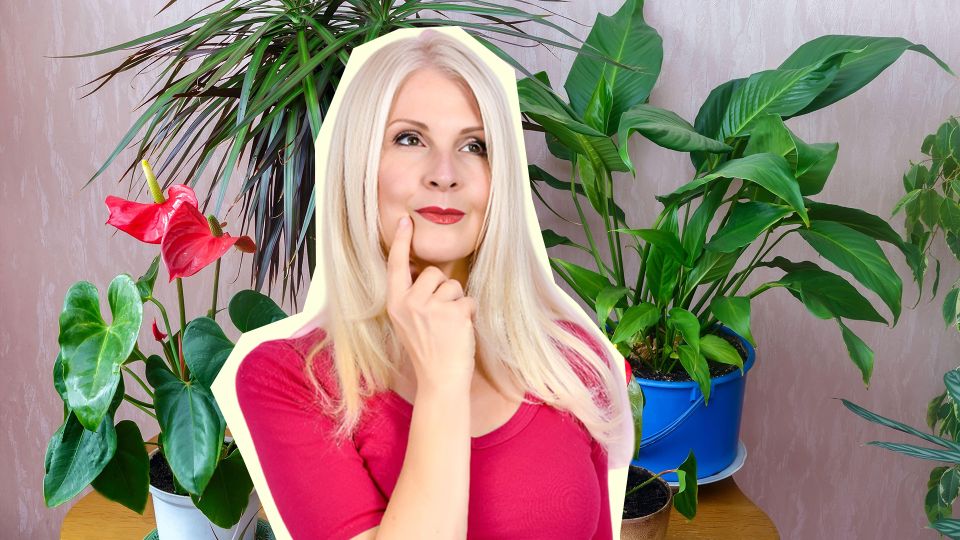 Цветы не узнаете через пару недель: замените грунт этим субстратом