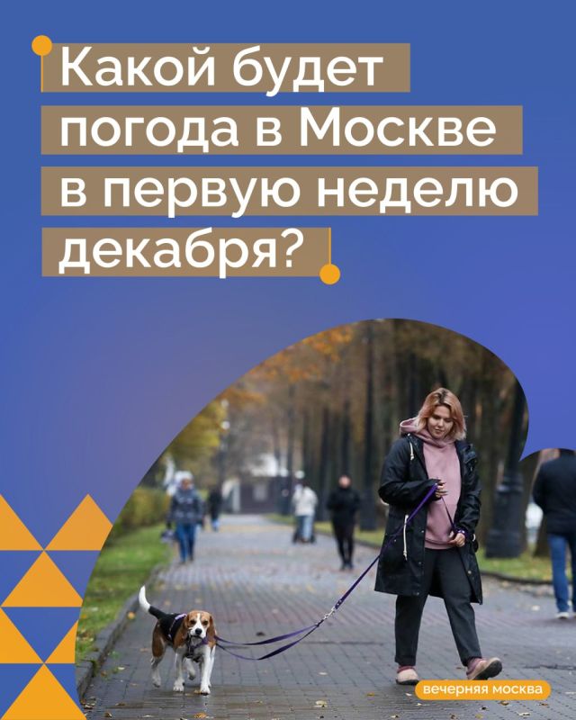 В Москве и Подмосковье — аномально теплая декабрьская неделя
