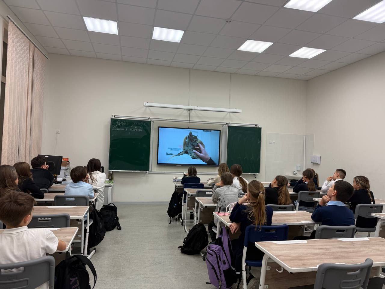 Домашний питомец – это не игрушка, а друг, которого мы выбрали сердцем Домашний питомец – это не игрушка, а друг, которого мы выбрали сердцем