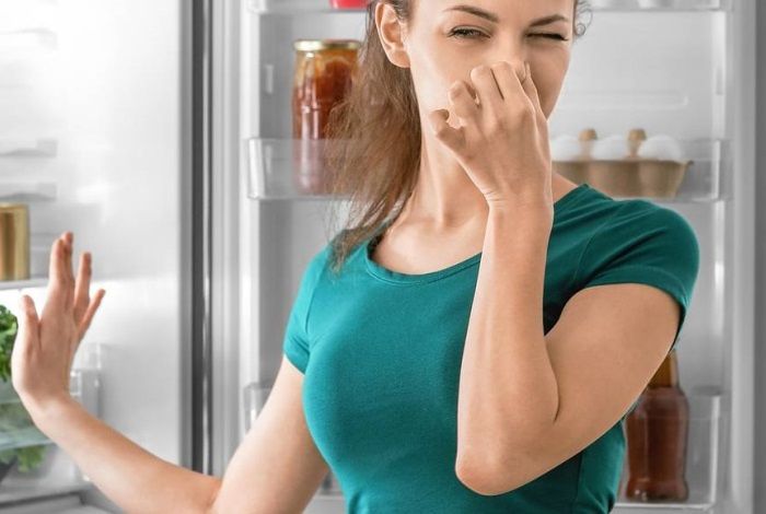 Как одно яблоко может вернуть свежесть вашему холодильнику