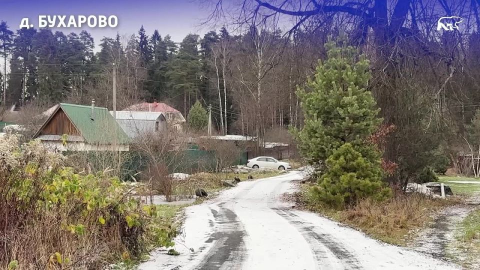 Константин Михальков: С Днём рождения, Единая Россия!