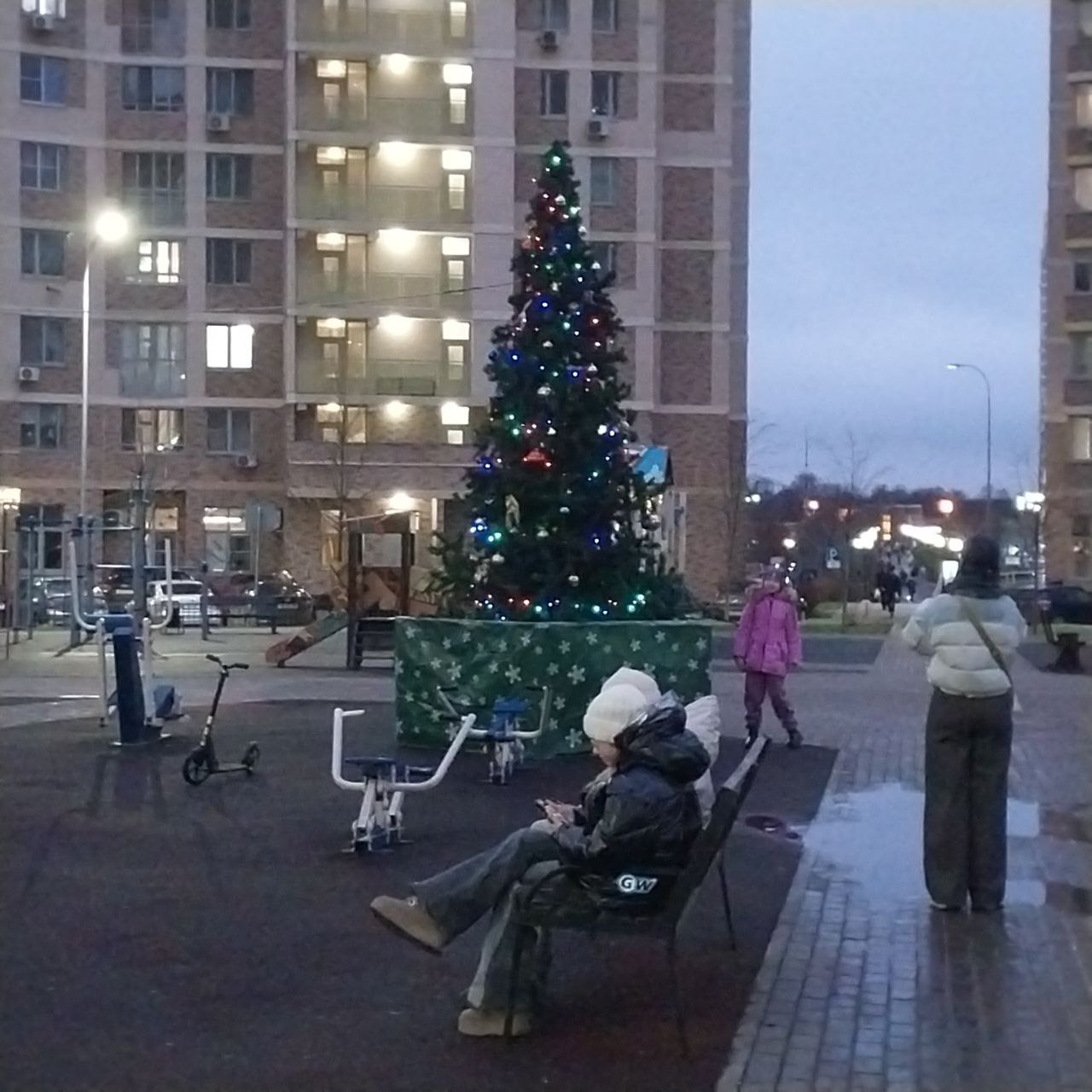 Во дворах Долгопрудного установят новогодние ёлки Во дворах Долгопрудного установят новогодние ёлки