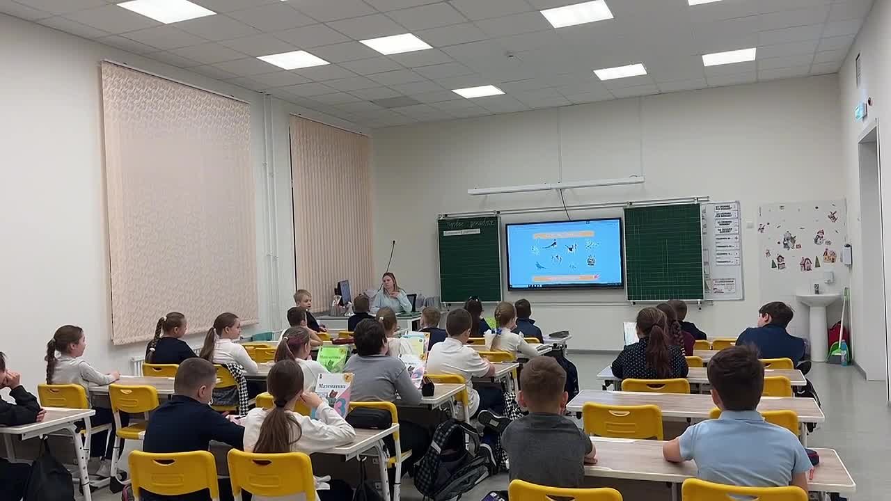 Домашний питомец – это не игрушка, а друг, которого мы выбрали сердцем