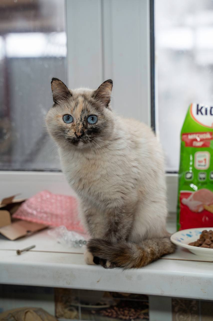 Новое подключение в Королёве Новое подключение в Королёве