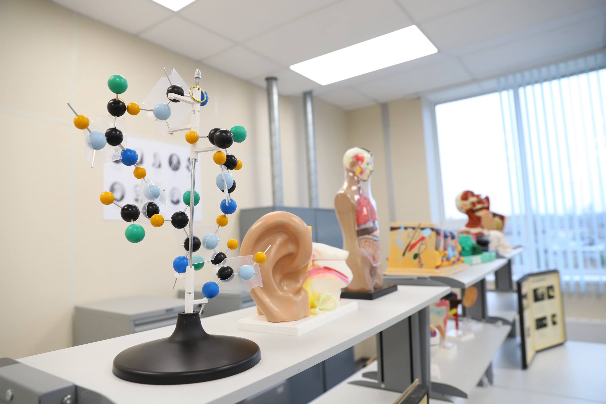 Константин Михальков: Сегодня приехал в Поварово посмотреть, как работает обновлённая школа Константин Михальков: Сегодня приехал в Поварово посмотреть, как работает обновлённая школа