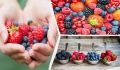 Топ-9 ягод, которые стоит добавить в свой рацион для крепкого здоровья