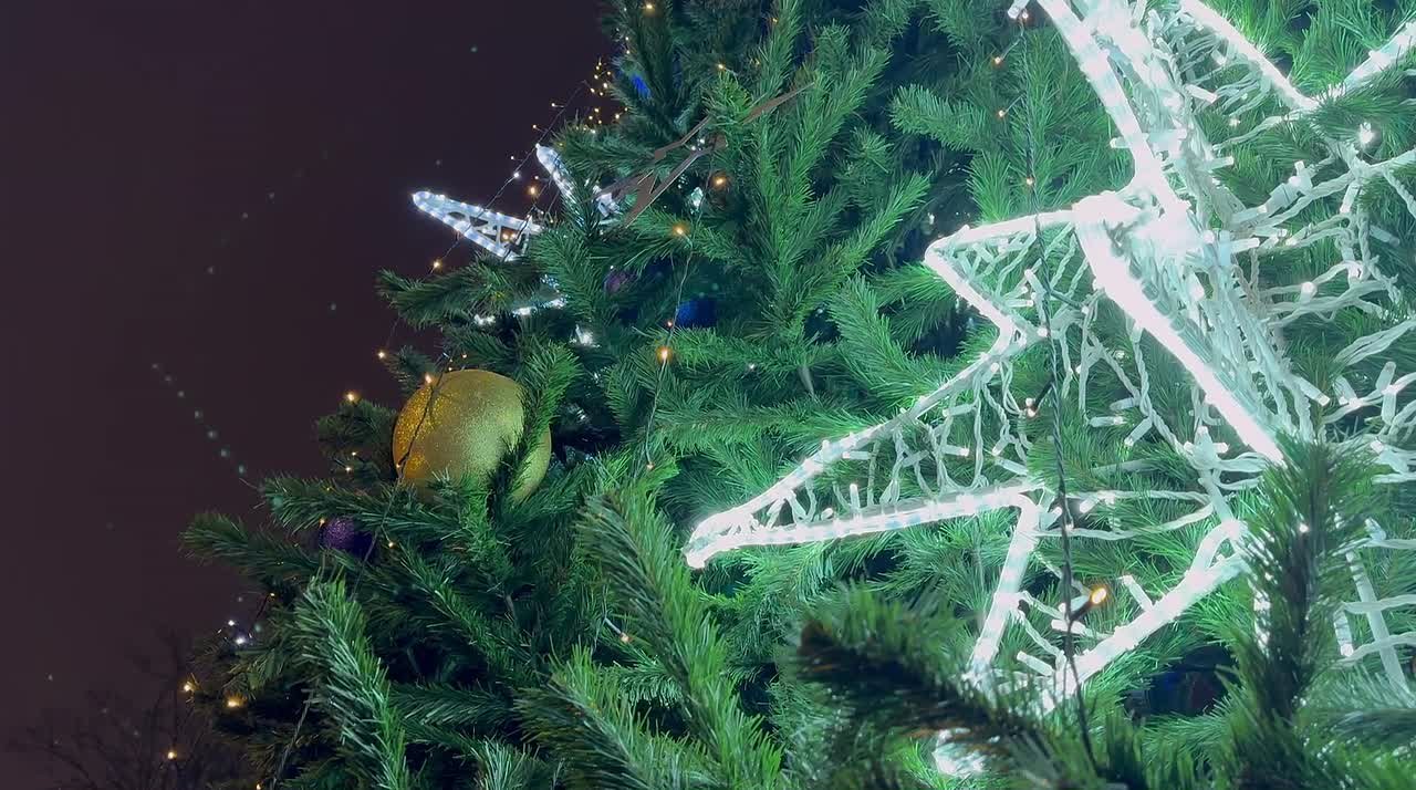 1 декабря в сквере имени Бориса Громцева состоялось торжественное зажжение огней на главной городской ёлке в рамках проекта «Зима в Подмосковье»