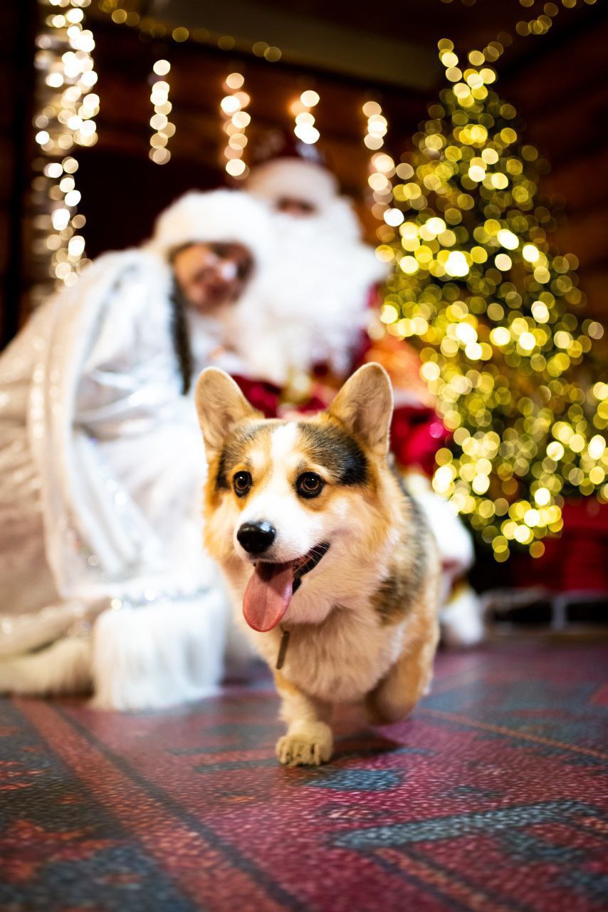 Старт проекту губернатора «Зима в Подмосковье» дали в Люберцах Старт проекту губернатора «Зима в Подмосковье» дали в Люберцах