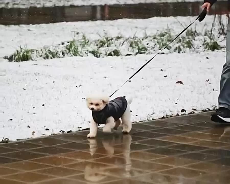 Доброе утро, Серпухов!. Пока зима лишь робко заглядывает в наши края — сегодня снова ожидается до +2°C