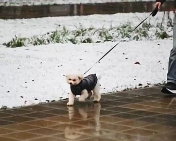 Доброе утро, Серпухов!. Пока зима лишь робко заглядывает в наши края — сегодня снова ожидается до +2°C