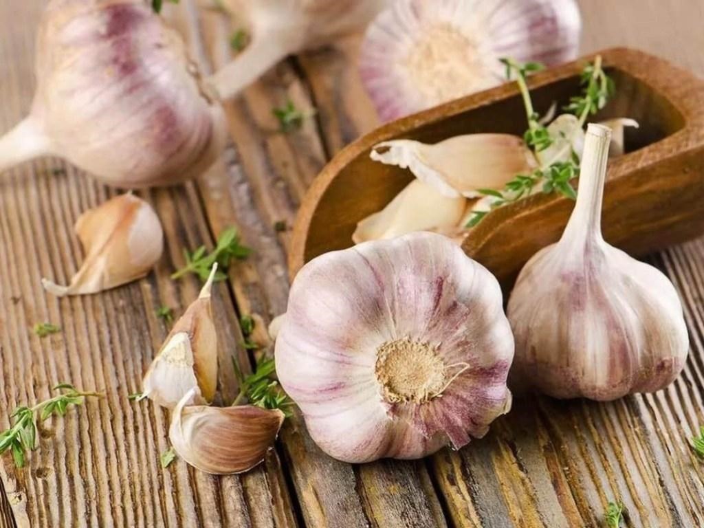 Врачи рассказали, что работать во время больничного не лучшая идея Врачи рассказали, что работать во время больничного не лучшая идея