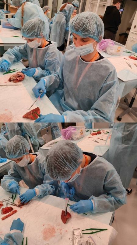 ������ ��������. ���������� ���� ��� �����-3, ������������� ����� �����