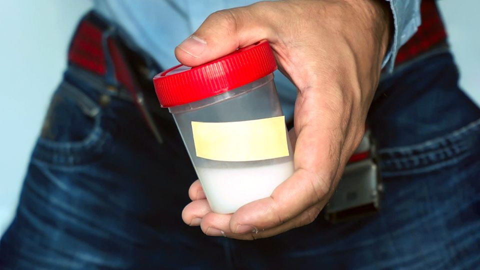 ������ � ��������: ��� ��������� ���������� ��������� �������