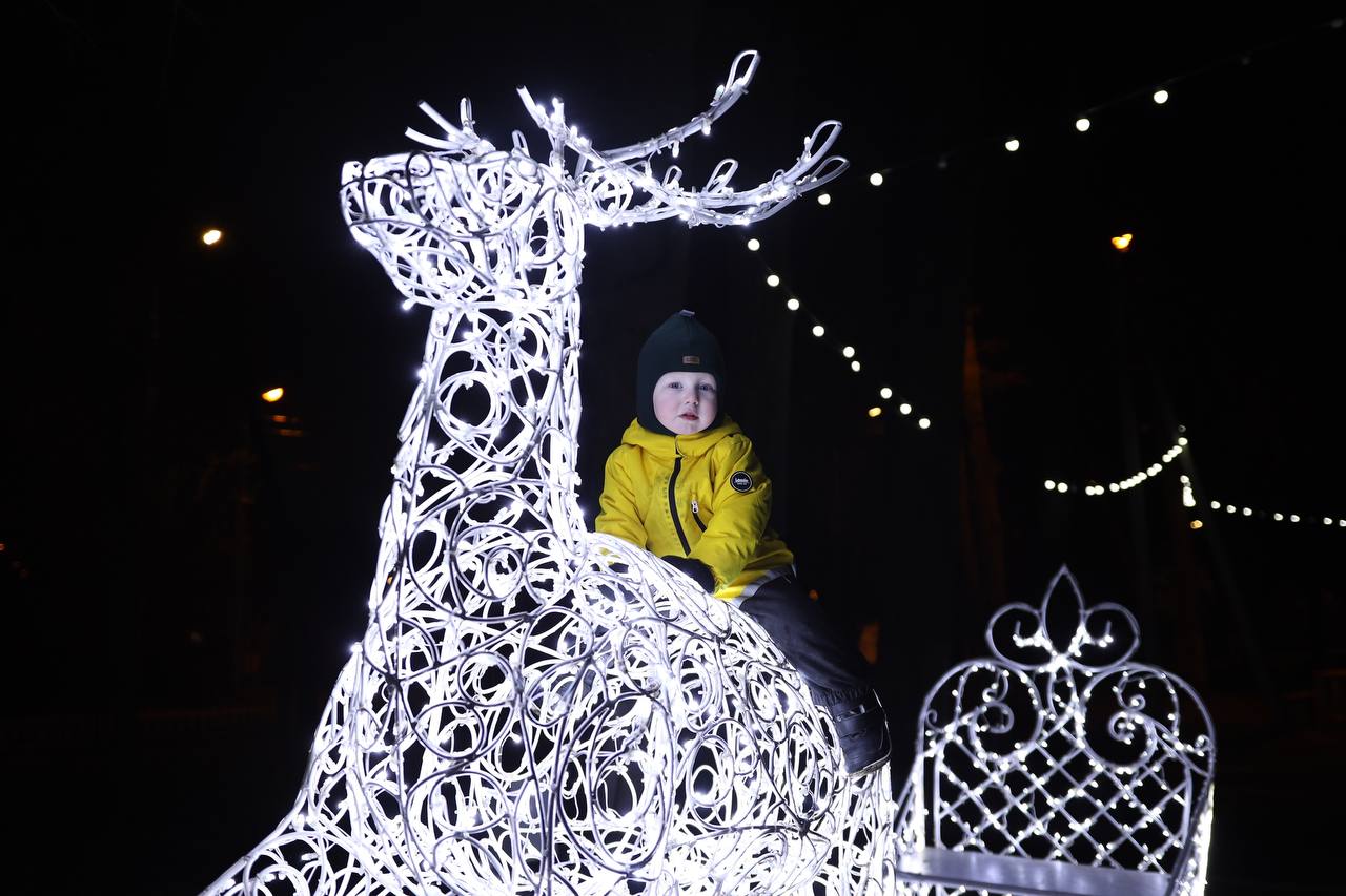 Домодедово зажигает огни: новогодняя атмосфера уже в парках округа Домодедово зажигает огни: новогодняя атмосфера уже в парках округа
