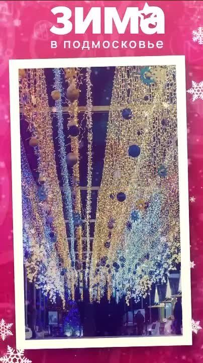 Татьяна Витушева: #дайджестдня. В сфере содержания